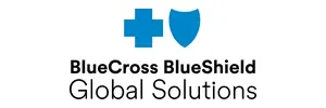 Blue Cross Blue Shield